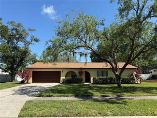 6621 Baybrooks Cir, Temple Terrace, FL 33617