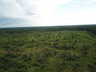 TBD County Road 3089, Call, TX 75933