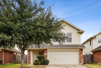 14243 Brunswick Point Ln, Houston, TX 77047
