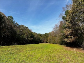 100+AC Purdy Rd, Emporia, VA 23847