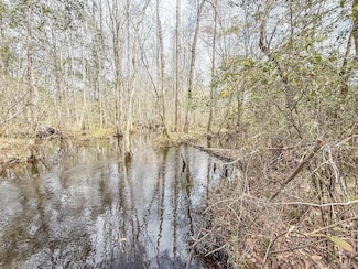 001 Clemmons Rd, Bonifay, FL 32425