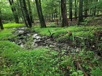 0 T 579 Lower Seese Hill Rd, Canadensis, PA 18325