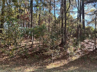 2090 Lee Peters Rd, Loganville, GA 30052