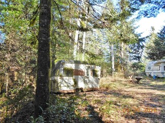 0 Nsn Mountain Trail Unit 918598, Brinnon, WA 98320