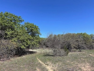 94.17 AC, Cross Plains, TX 76443