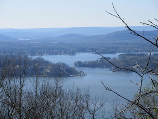 0 Scenic Dr Unit 19785816, Section, AL 35771
