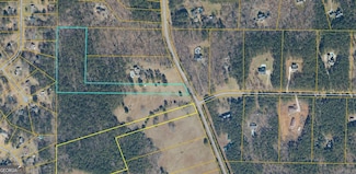 0 Padgett Rd Unit LOT 3 10432795, Senoia, GA 30276