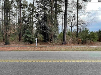 208 Mitchell St, Batesburg, SC 29006