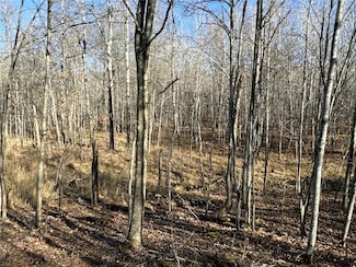 X Barrett Trail, Trego, WI 54888