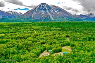 19340 N Fish Lake Rd, Chickaloon, AK 99674