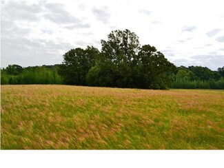 6951 Ebenezer - Pickens Rd, Pickens, MS 39146