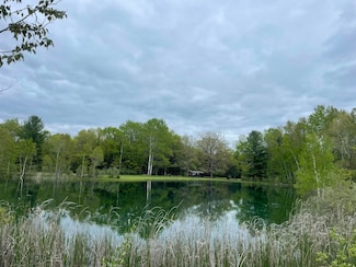 0 Boman Rd, Clement Township, MI 48624