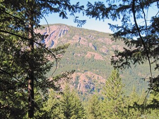 3 Wintergreen Rd, Winthrop, WA 98862