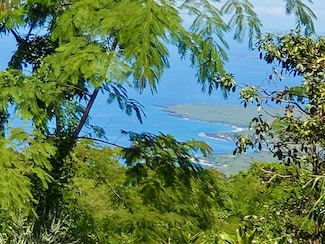 87-457 Kaohe Mauka Rd, Captain Cook, HI 96704