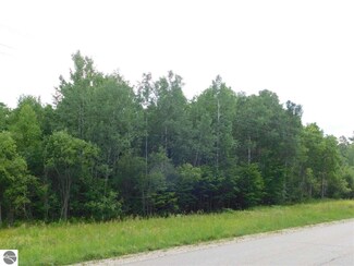 0 W Sharon Rd Unit 1835143, Fife Lake, MI 49633