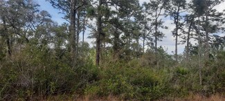 515 Eldorado Dr, Lake Wales, FL 33855