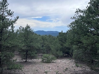 Lot 62 Upper Pinabete, Questa, NM 87556
