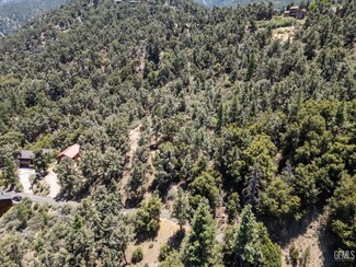 15712 Berne Ct, Pine Mountain Club, CA 93225