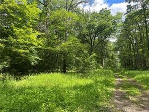 Lots 81, 82, 83, 84 Innsbruck Trail, Jenner Township, PA 15547