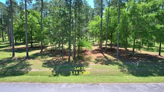 Lot #35 Cannon Branch Rd, Cordele, GA 31015