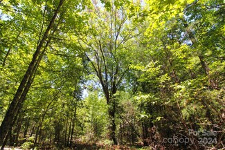 2 +/- ACRES Hosea Strong Dr, Chester, SC 29706