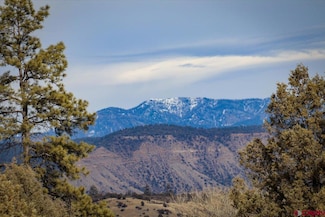 X County Rd 500, Pagosa Springs, CO 81147