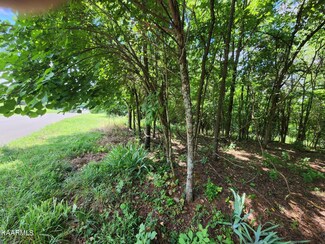 4 Meadow Cir, Kodak, TN 37764