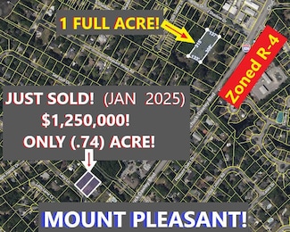 0 Chuck Dawley Blvd Unit 25018679, Mount Pleasant, SC 29464