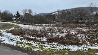 0 Hencoop Hollow Rd Unit B1651705, Ellicottville, NY 14731