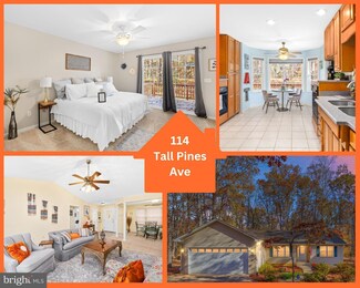 114 Tall Pines Ave, Locust Grove, VA 22508