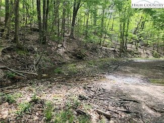 138 Hollow Tree Rd, Beech Mountain, NC 28604