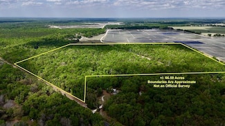 00 SW County Road 138 Unit LotWP001, Ft. White, FL 32038
