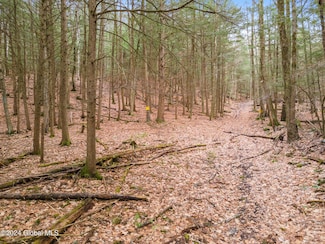 L18.1 Ralph Engle Rd, Schoharie, NY 12157
