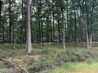0 Buttonbush Ln Unit PWBPW251636, Hazle Township, PA 18202