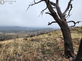 000 K Path, Cotopaxi, CO 81223