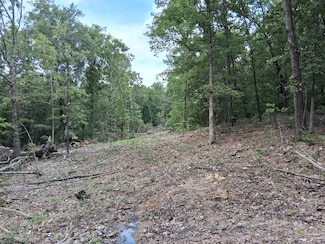Tbd County Road 350, Dora, MO 65637