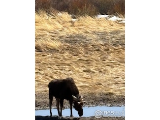 1565 Highway 66 Unit 33, Estes Park, CO 80517