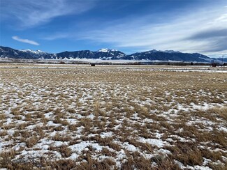 Lot 6 Block 7 of North Forty, Ennis, MT 59729