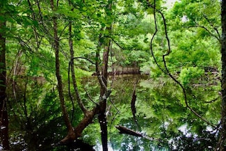 Oilfield Cutoff Rd Unit LotWP001, Sandy Hook, MS 39478