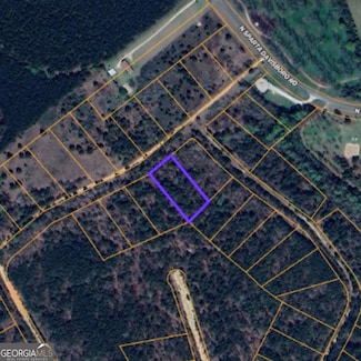 109 Madison Ln, Warthen, GA 31094