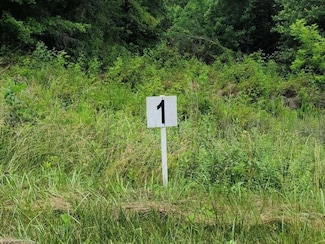 LOT 1 Dillards Hill Rd, Union Hall, VA 24176