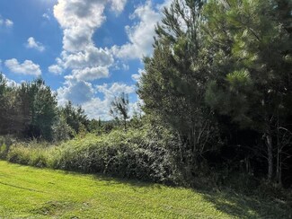 0 N Benville Rd, Picayune, MS 39466
