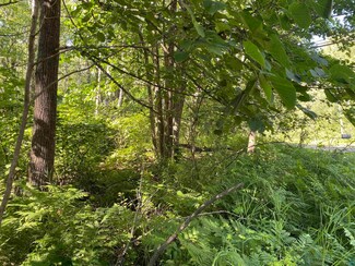 XX4 Bent Trout Lake Rd, Barnum, MN 55707