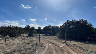 34 Dreamcatcher Dr, Fence Lake, NM 87315