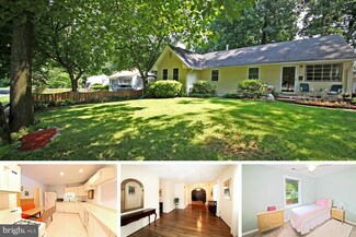 1921 Storm Dr, Falls Church, VA 22043