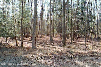 AW Lot 114 Arapahoe Ln, Hazle Township, PA 18202