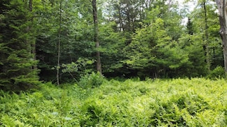 0 N Lake Rd, Hunter, NY 12442
