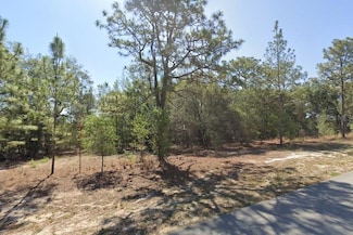 2684 W Angola Dr, Beverly Hills, FL 34465