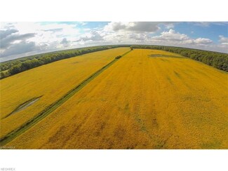 1073 96 ACRE Stanhope-Kelloggsville Rd, Denmark Township, OH