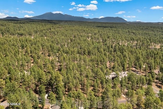 3781 Griffiths Spring, Flagstaff, AZ 86015